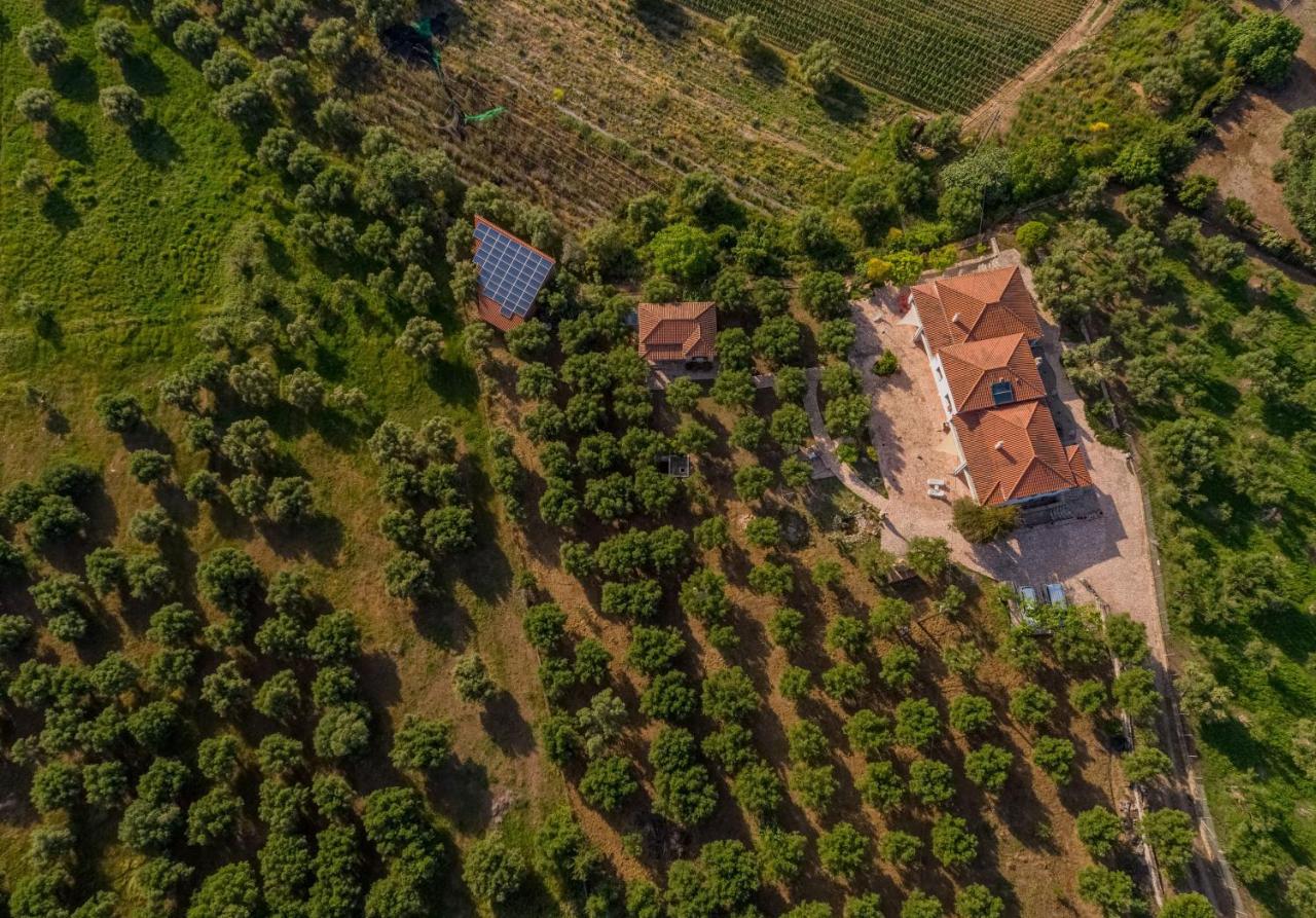 Ionianeon Apartments Agios Ilias  Bagian luar foto