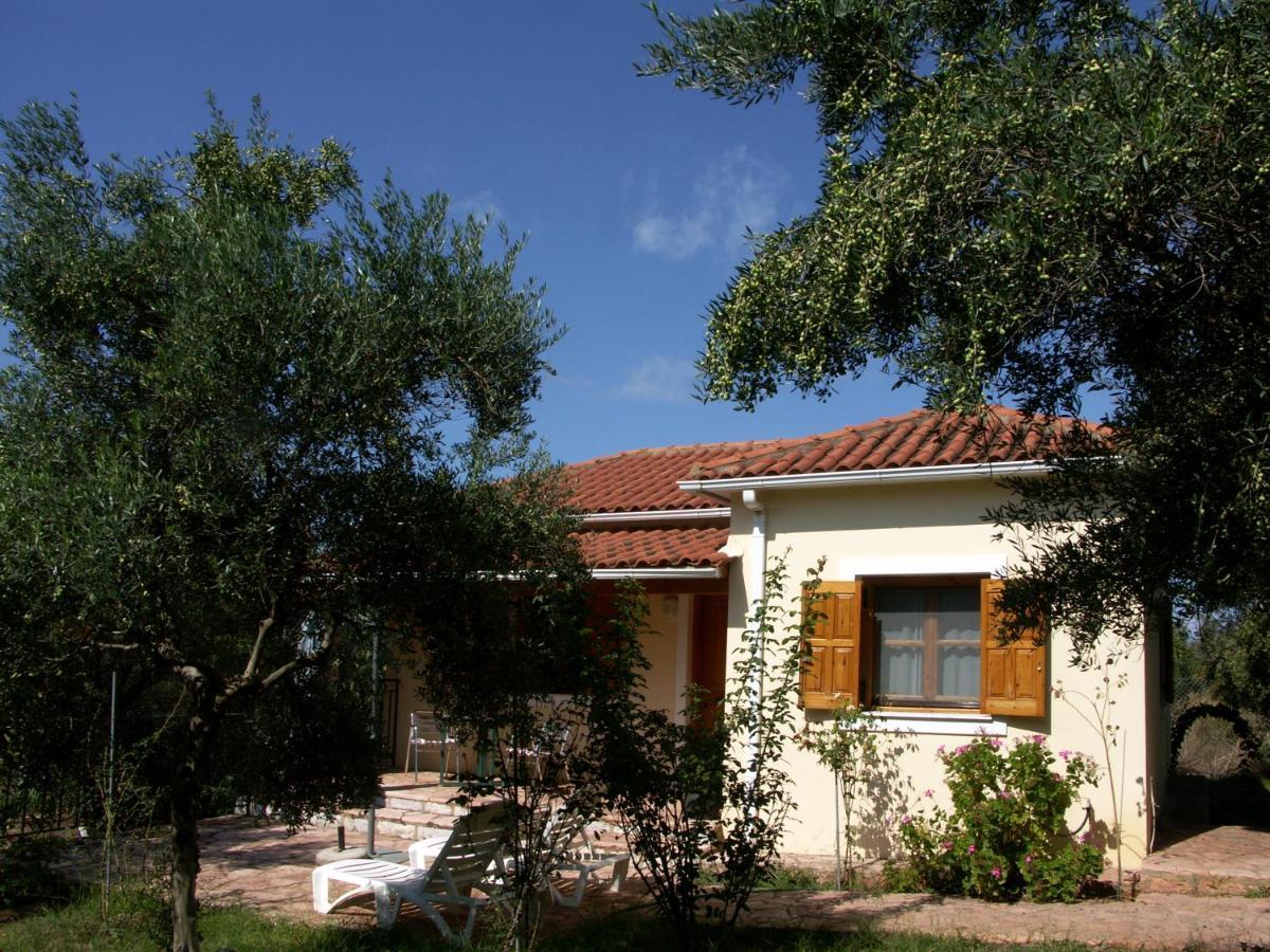 Ionianeon Apartments Agios Ilias  Bagian luar foto